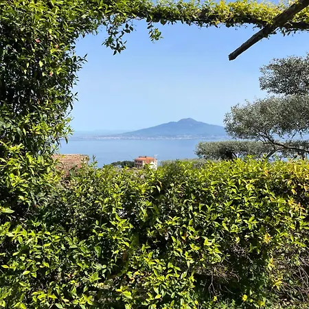Gasthof Olive Tree Garden Sorrent