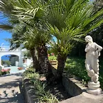 בית הארחה Olive Tree Garden סורנטו