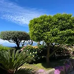 Olive Tree Garden בית הארחה סורנטו