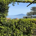 בית הארחה Olive Tree Garden סורנטו