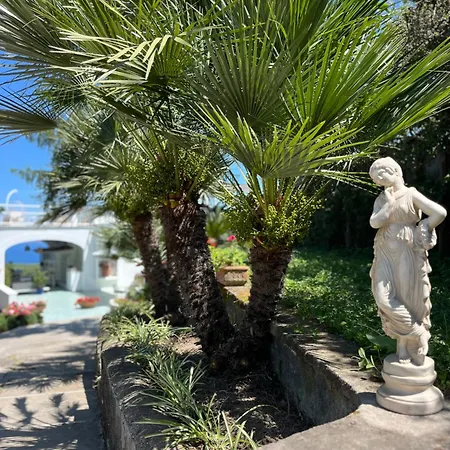 בית הארחה Olive Tree Garden סורנטו