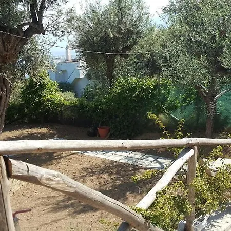 בית הארחה Olive Tree Garden סורנטו