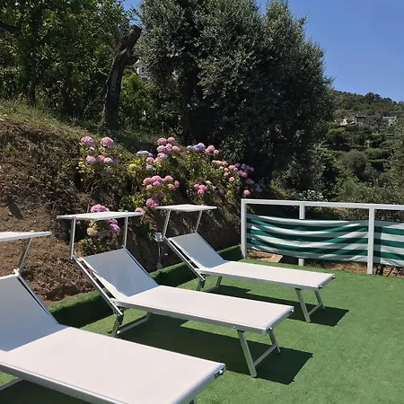 Olive Tree Garden בית הארחה סורנטו