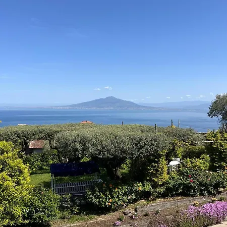 Maison d'hôtes Olive Tree Garden Sorrente