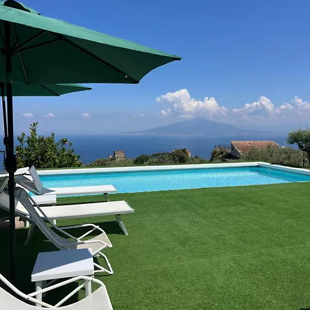 Olive Tree Garden Гостевой дом 3*