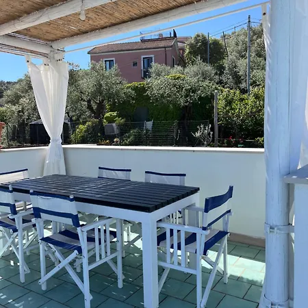 Гостевой дом Olive Tree Garden 3*