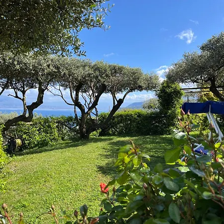 Olive Tree Garden Gæstehus 3*