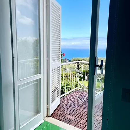 Gæstehus Olive Tree Garden Sorrento