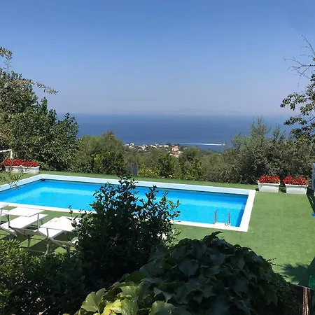 Olive Tree Garden Sorrente