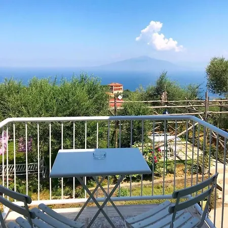 Olive Tree Garden Gæstehus Sorrento
